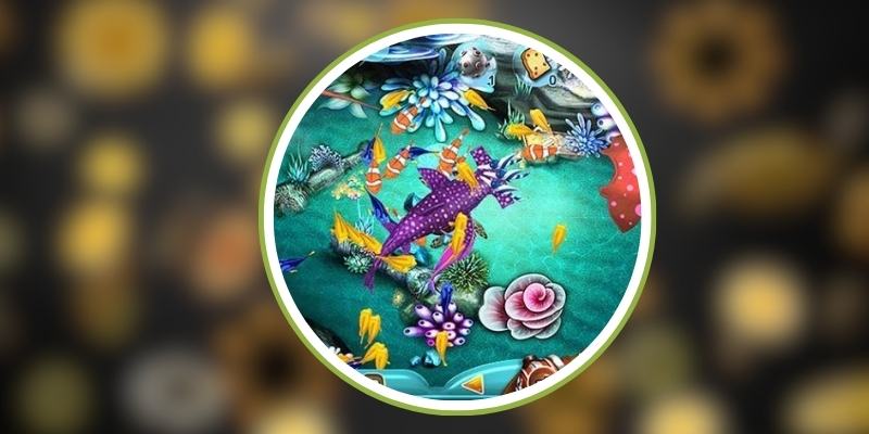 Các loại vũ khí và công cụ quan trọng